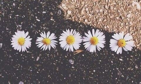 Maty @matiivip cover picture