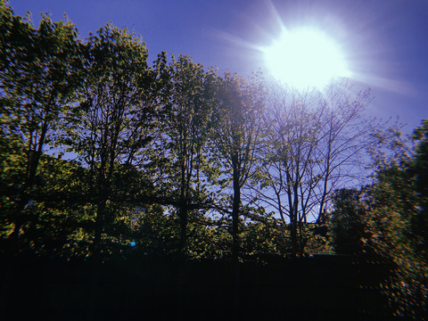 Matilda @matildapeach cover picture