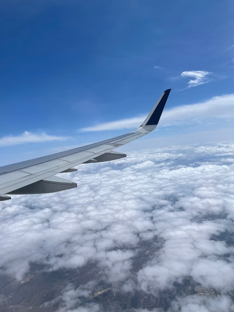 Matt Harp 🤫 @mattharp cover picture