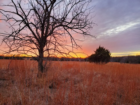 Max @max1324142 cover picture