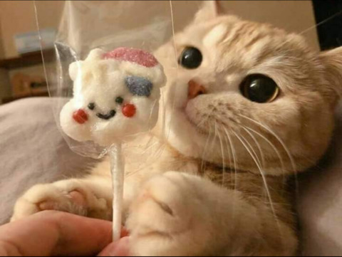 Maydahh @maydaa cover picture