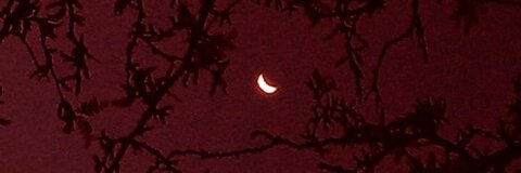 𝘔𝘦𝘳𝘤𝘦𝘥𝘦𝘴 ♡ @mbenzz cover picture