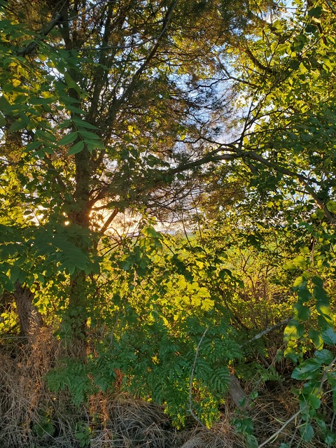 Meagan @meaganlovescameras cover picture