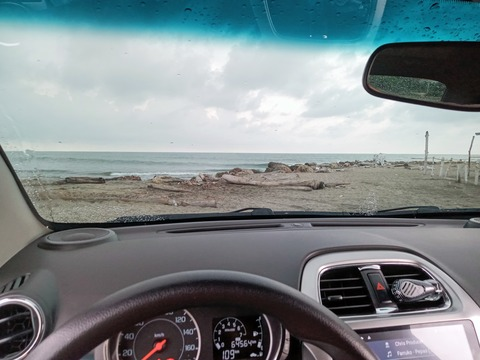 Medallo @medallo cover picture