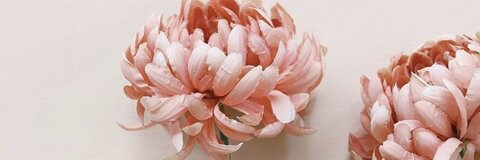 Megan Marie @megaass cover picture