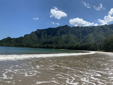 Meg @megabutt cover picture