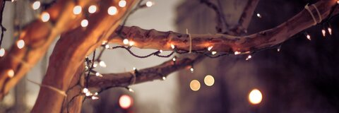 M.E.G.A.N @meganstorm cover picture