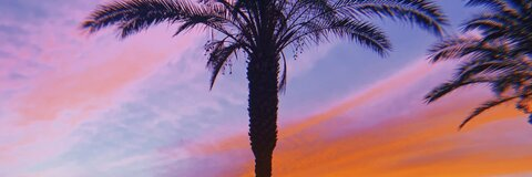 kaitlin lester @meggy28 cover picture