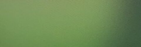 meg @megkerss cover picture