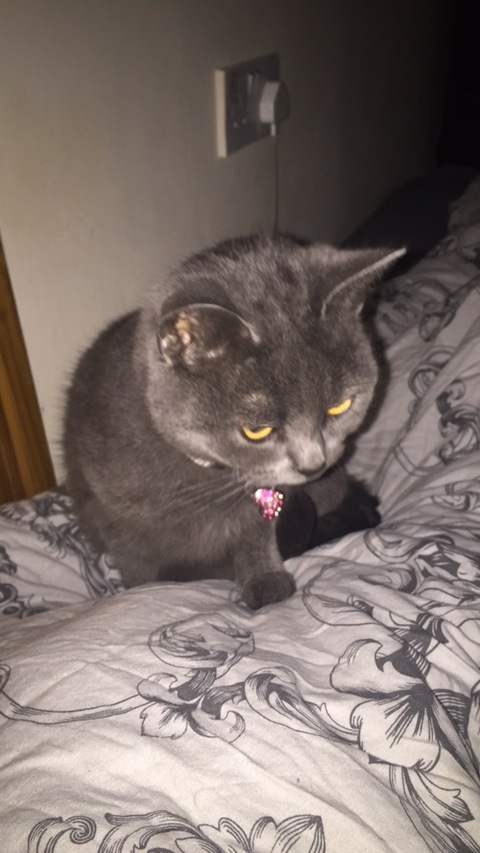 Meg’s @megsxo cover picture