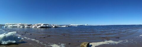 melody @mel0dy cover picture