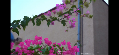 Melanie @melanie_critch cover picture