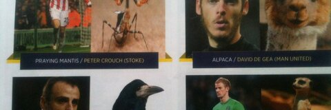 Melissacalista @melissacalista cover picture