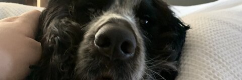 𝕃𝕖𝕒𝕙-𝔽𝕒𝕚𝕥𝕙 @mermaidhair cover picture