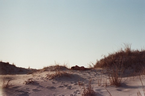 meredith @mermermeredith cover picture