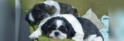 María @meryy17 cover picture