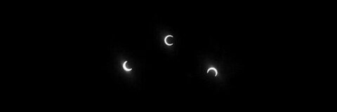 Kitty @mfc_kitty cover picture