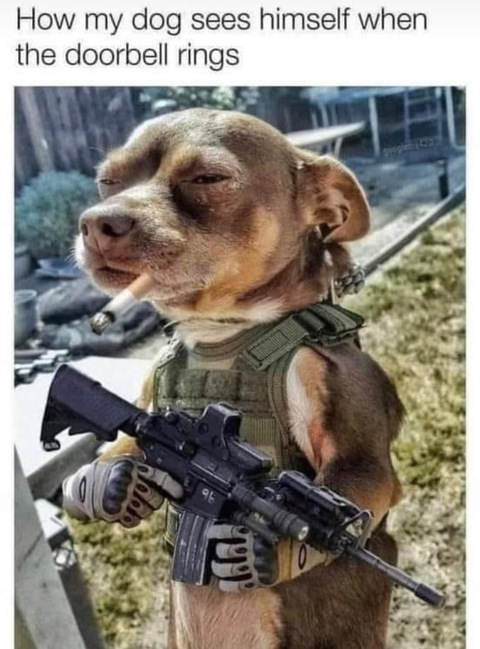 Matty @mgurtyy cover picture