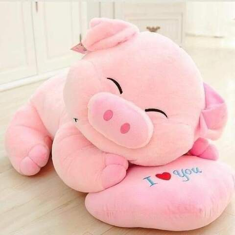 Rios Irma @mi.amor cover picture