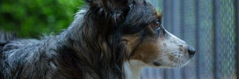 mia rand @mia_rand cover picture