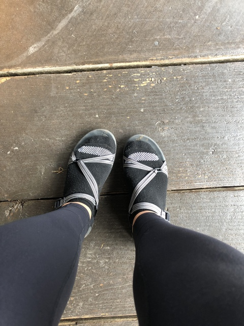 Catty Toes @michiganer-feet cover picture