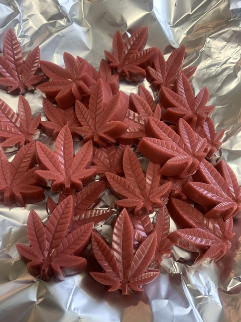 MidTenn615 @midtenn615 cover picture