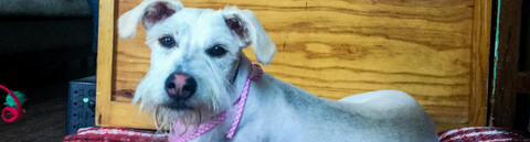 MikaEmiyYo @mikabbsita cover picture