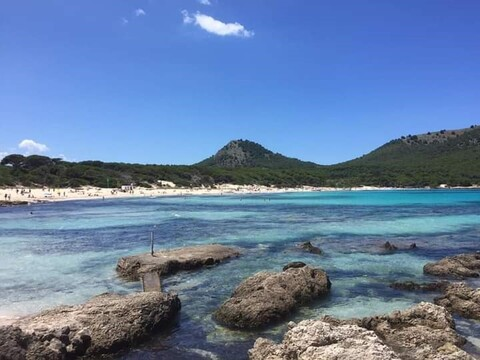 milajsn @milajsn cover picture