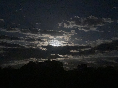 Ameila @milliemarie cover picture