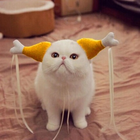 Jamilly Cabral @milly.s cover picture