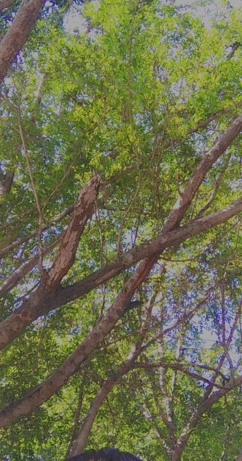 Mimilin @mimilin cover picture