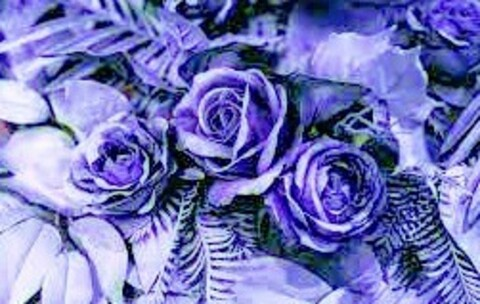 Mina Chanel @minachanel cover picture