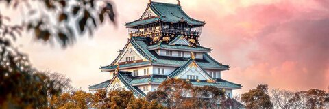 - @miraii cover picture