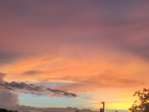 💰💰😜BOSS😜💸💸 @miss.kechi cover picture