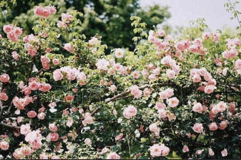 Miss Demeanour @miss_demeanie cover picture