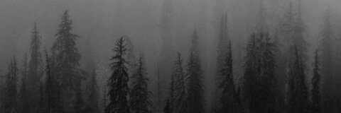 🍒🌟🌸Reina🌸🌟🍒 @miss_reinat cover picture