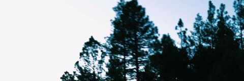 CINDY @misscindyytran cover picture