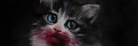 Miss Coookiez🛸 @misscoookiez cover picture