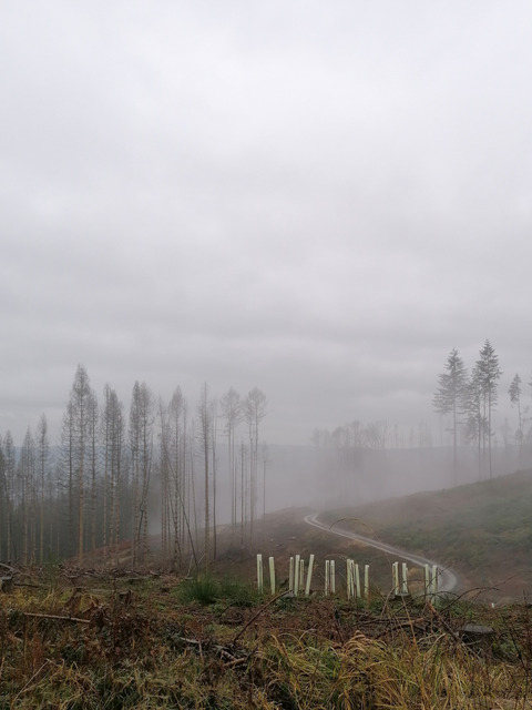 miss jules joy @missjulesjoy cover picture