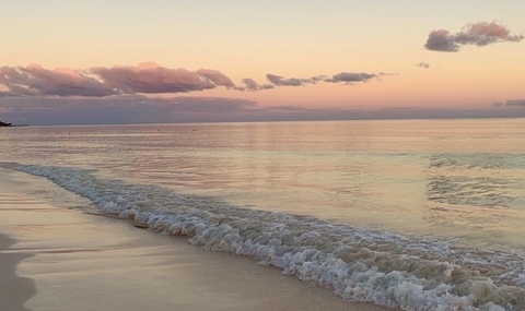 missmulann @missmulann cover picture