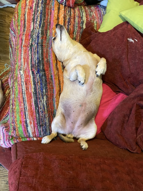 MissP @missp cover picture