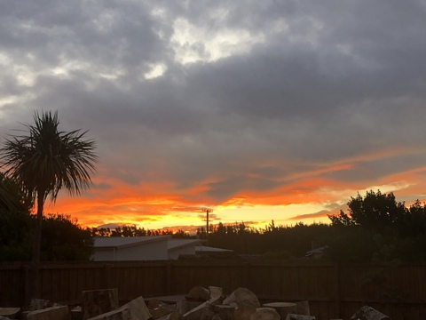 Poli @misspoli cover picture