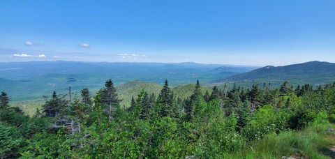 Rosé @missrosie cover picture