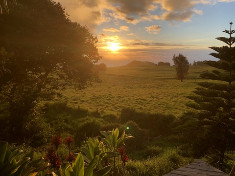 Mr. Milano Uncut @mistermilano cover picture