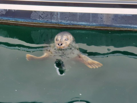 u2199065 @mittens cover picture