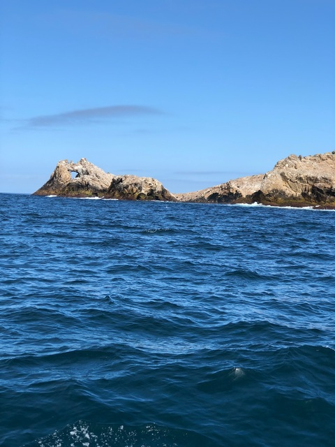 Mixed Vixen @mixedvixen cover picture