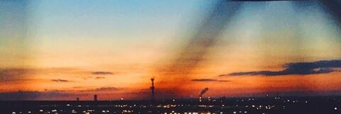 moll @mollyomalia cover picture