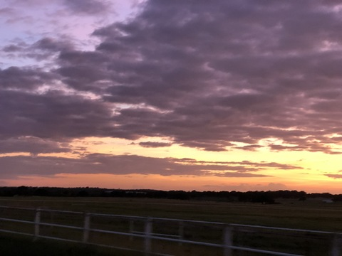 u4890919 @mommy cover picture