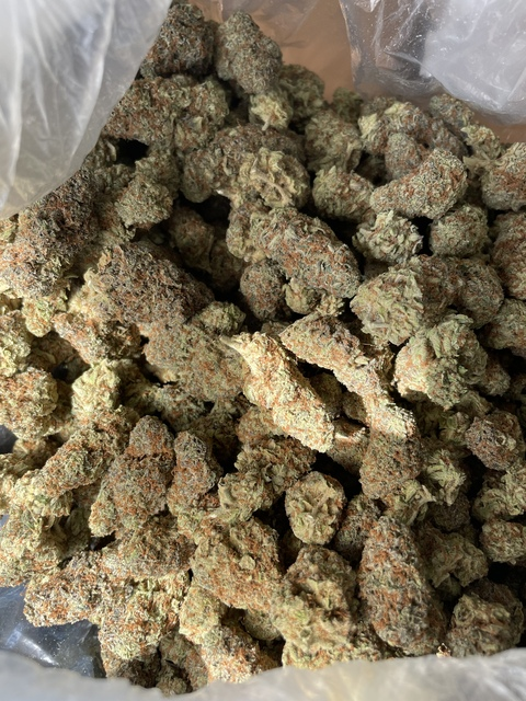 Moneé Minako @moneeminako cover picture