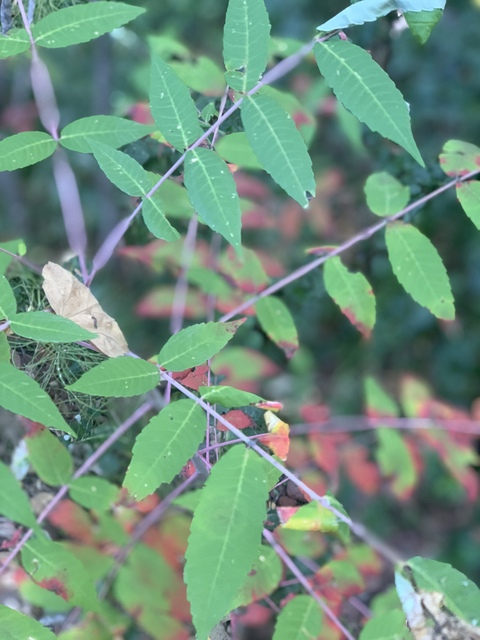 Morgan @morganelizabeth cover picture